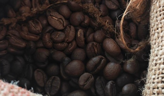 Giá cà phê hôm nay 13-1: Diễn biến trái chiều