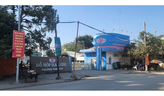 Kiểm tra Công ty Đồ hộp Hạ Long, 3 năm không phát hiện sai phạm