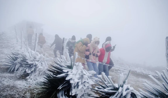 Miền Bắc sắp đón không khí lạnh cực mạnh, bỏ túi ngay 3 "thần dược" tốt cho sức khỏe ngày gió mùa