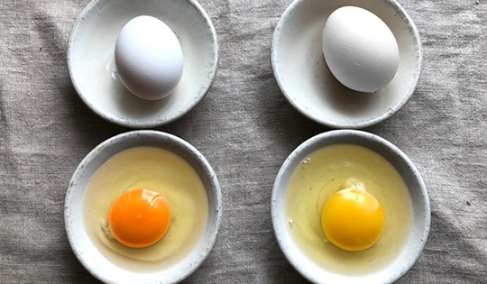Đập trứng gà lòng đỏ đậm và nhạt khác nhau: Chuyên gia tiết lộ "3 nhớ 2 không" để chọn trứng tốt nhất