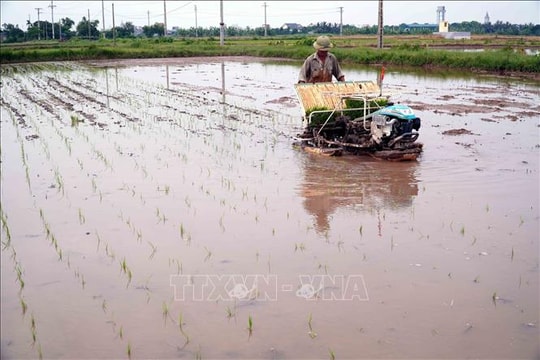Trung du và Đồng bằng Bắc Bộ đảm bảo đủ điều kiện lấy nước gieo cấy đợt 1