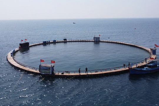 Nuôi biển công nghệ cao mở hướng phát triển kinh tế biển bền vững tại Khánh Hòa