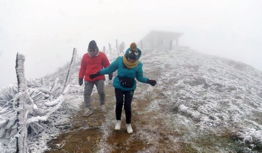 Miền Bắc đón không khí lạnh cực mạnh, bỏ túi ngay 2 "siêu thực" chống cảm lạnh tuyệt vời