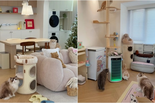 Cặp đôi Gen Z tự thiết kế căn hộ 118 m2 có phòng riêng cho mèo