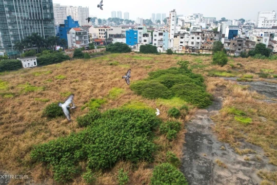 TP HCM tổng rà soát đất công bỏ trống làm vườn hoa, công viên