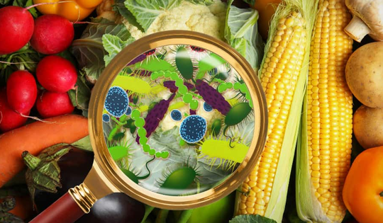 Bộ Y tế yêu cầu kiểm tra khẩn bếp ăn nhà hàng tiệc cưới sau phản ánh vi phạm vệ sinh