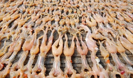 "Vũ nữ chân dài" giá hơn nửa triệu đồng/kg vẫn hút khách dịp Tết