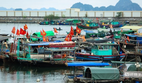 Thủ tướng phát lệnh “tuyên chiến” với khai thác IUU, không để lọt vi phạm