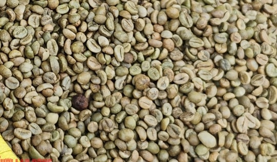 Giá cà phê hôm nay 14-1: Tăng đồng loạt, Brazil xuất khẩu giảm sâu