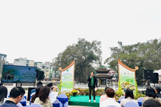 Khởi động chương trình ‘Tre chống lũ’, giải pháp ngăn lũ từ gốc