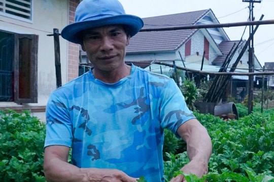 Làng hoa hút hàng trước Tết, người dân chỉ mong gỡ vốn sau bão lũ