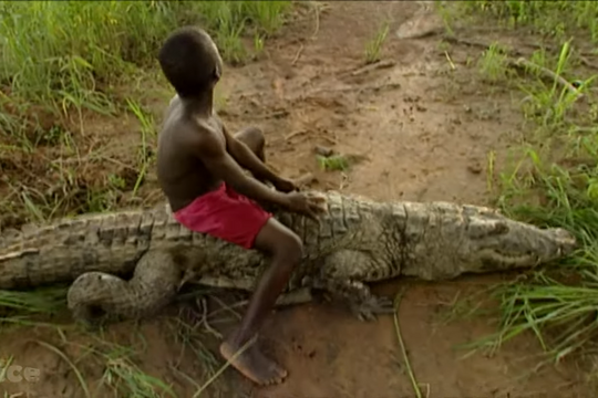 Bộ lạc duy nhất chung sống với cá sấu như gia đình