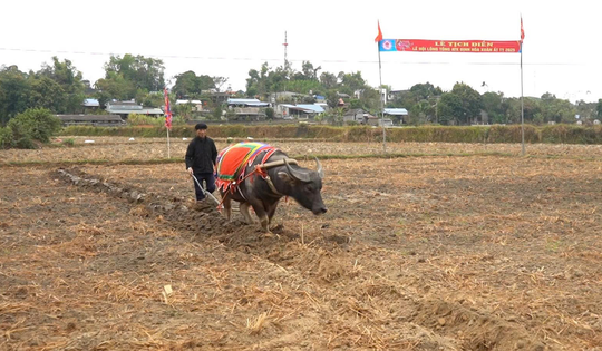 Lễ hội Lồng Tồng ATK Định Hóa – Gìn giữ mạch nguồn văn hóa giữa “Thủ đô gió ngàn”