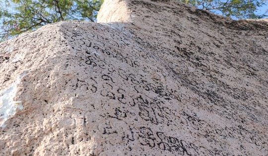 Tấm bia đá khắc chữ Chăm cổ phơi nắng gió giữa cánh đồng cần được bảo tồn