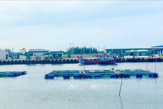 Ngăn chặn lồng bè nuôi thủy sản ‘nở rộ’ trong cảng nước sâu Dung Quất