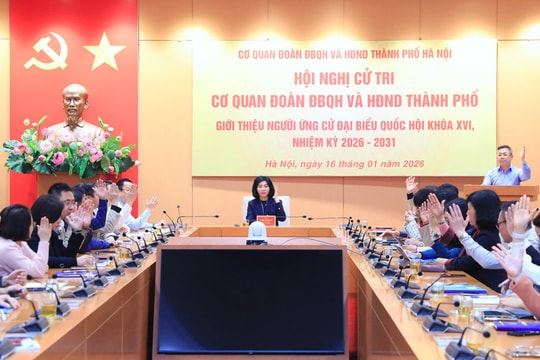 Chủ tịch HĐND TP Hà Nội Phùng Thị Hồng Hà được giới thiệu ứng cử đại biểu Quốc hội