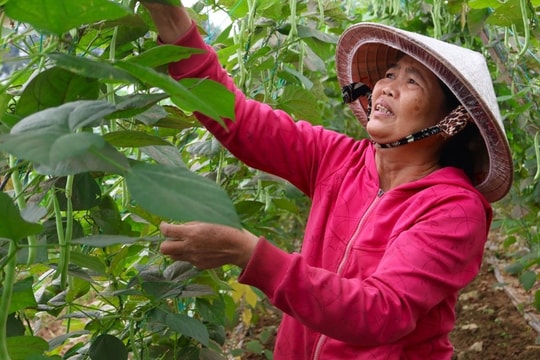 Niềm vui trước Tết của người dân từng bị lũ vùi dập