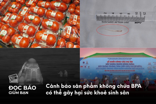 Cảnh báo sản phẩm không chứa BPA có thể gây hại sức khoẻ sinh sản