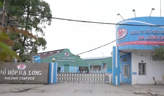 Bị ngừng việc, người lao động Công ty đồ hộp Hạ Long được hỗ trợ thế nào?