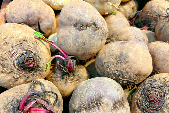 Điều gì xảy ra khi ăn củ dền thường xuyên?