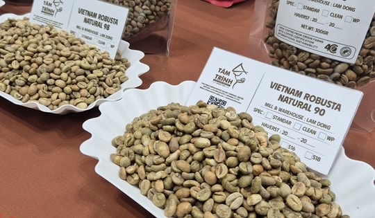 Giá cà phê hôm nay 16-1: Tăng 4 phiên liên tục, Robusta vượt mốc 4.000 USD/tấn