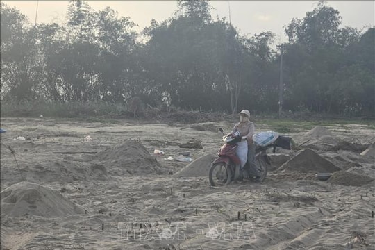 Ruộng đồng Gò Nổi (Đà Nẵng) chưa thoát cảnh cát bồi lấp