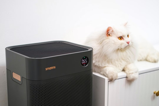 Smartmi 3 - máy lọc không khí có khử mùi hôi chó, mèo