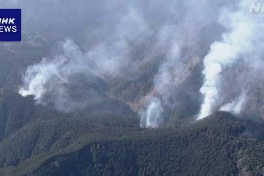 Cháy rừng lại bùng phát sát thủ đô Tokyo của Nhật Bản