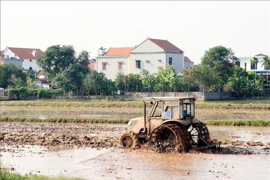 Trên 38% diện tích có nước để gieo cấy vụ Đông Xuân