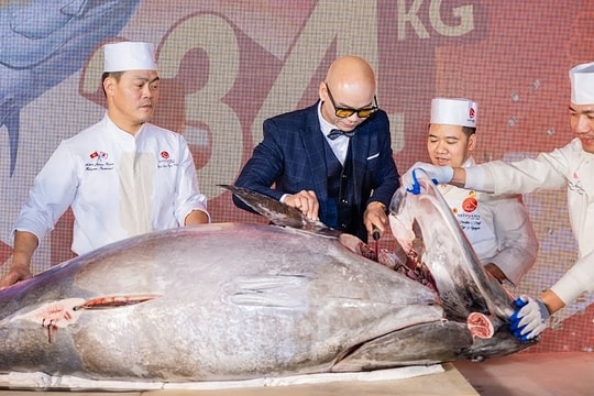 Phan Đinh Tùng xẻ cá ngừ vây xanh 234kg tại Hatoyama