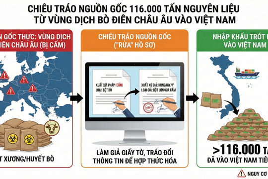 Mạng lưới nhập lậu thịt từ vùng dịch trị giá hơn 2.000 tỷ đồng