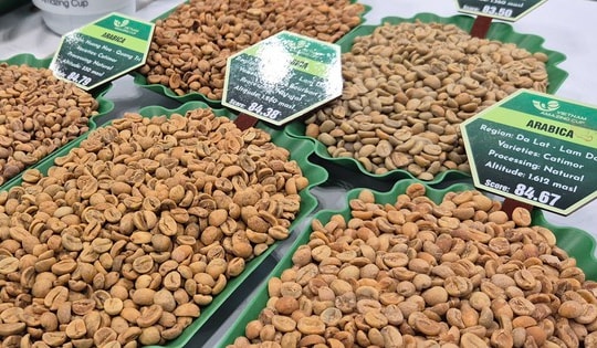 Giá cà phê hôm nay 18-1: Bầu Đức nói về giá cà phê hiện tại