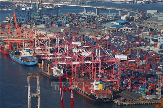 Thương mại toàn cầu thích ứng trong trật tự mới