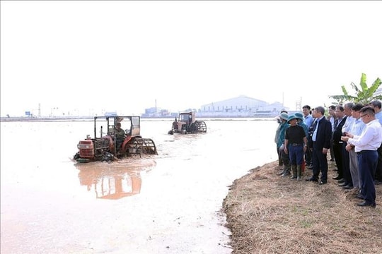 Lấy nước sớm tạo đà cho vụ Đông Xuân 2025 - 2026 thắng lợi