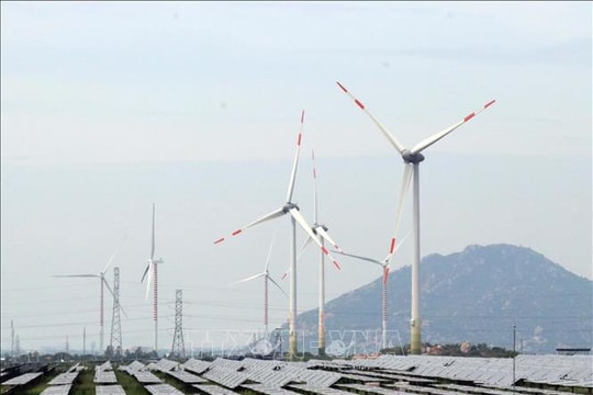 Doanh nghiệp trên lộ trình xanh hóa