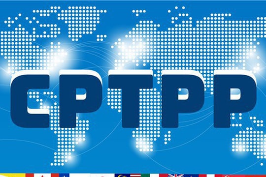 Chỉ định các cơ quan đầu mối triển khai 3 Hiệp định thương mại