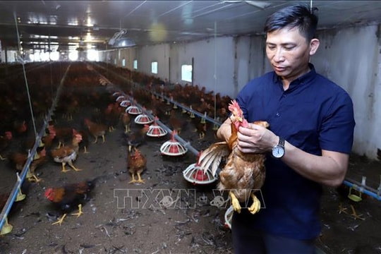 Đại hội XIV của Đảng: Đổi mới tư duy từ những 'nông dân 4.0'