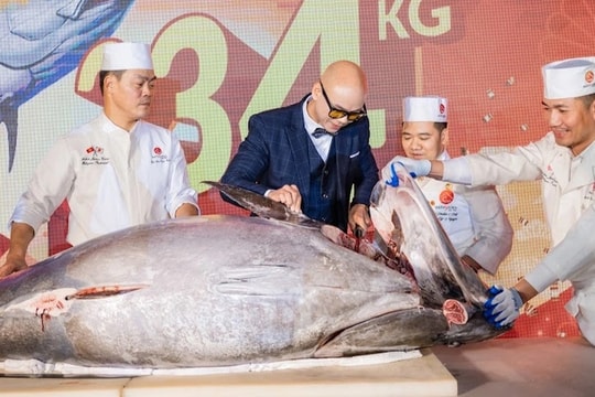 Phan Đinh Tùng trải nghiệm xẻ cá ngừ 234kg tại Hatoyama