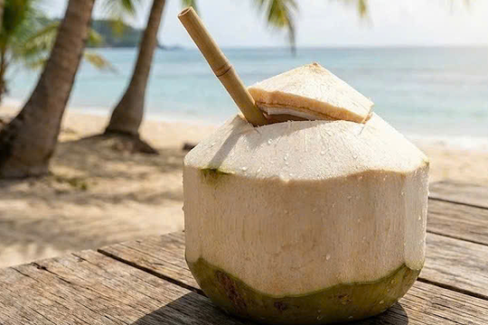Uống nước dừa có giúp giảm mệt mỏi không?