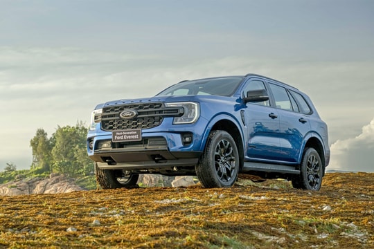 Thị phần xe gầm cao cỡ D năm 2025 - Everest thống trị, Santa Fe lao dốc