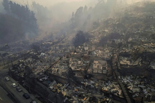 Cháy rừng buộc hàng chục nghìn người sơ tán, Chile ban bố tình trạng thảm họa