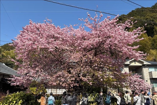 Nhật Bản: Lượng khách quốc tế năm 2025 lập kỷ lục mới