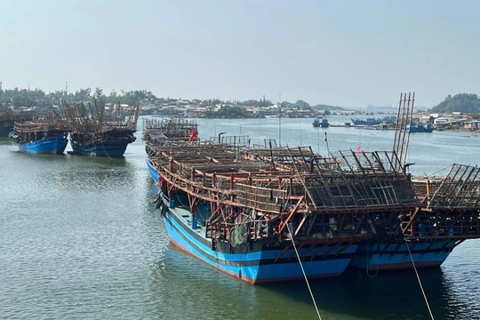 "Tàu sân bay" mang niềm vui Tết từ Hoàng Sa, Trường Sa về đất liền