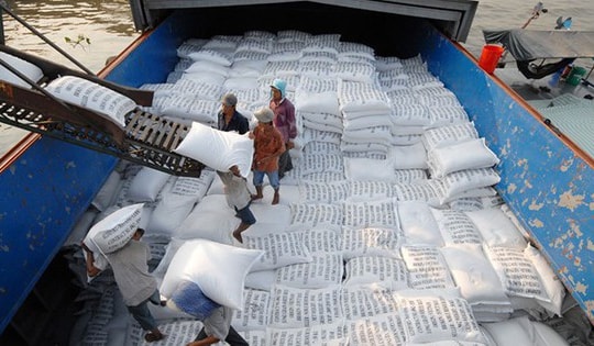 Dự kiến xuất khẩu gần 8 triệu tấn gạo, Bộ Nông nghiệp và Môi trường có động thái mới