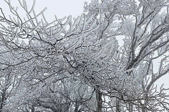 Đêm nay không khí lạnh mạnh tràn xuống miền Bắc