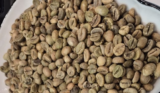 Giá cà phê hôm nay 20-1: Tăng nhẹ