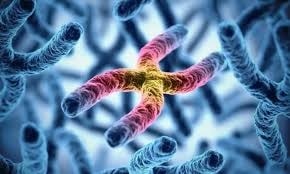 Ấu trùng 'vẽ đường' ngoằn ngoèo dưới da người phụ nữ