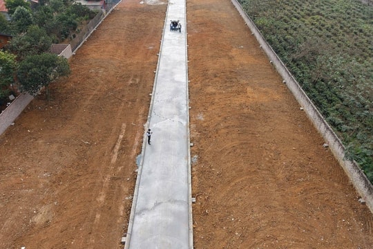 Tự ý xây hạ tầng, rao bán hàng nghìn m2 đất nông lâm trường