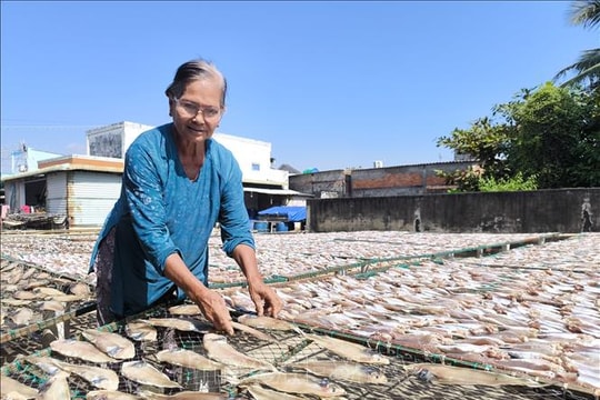 Làng nghề cá khô ven biển tăng công suất gấp 3 lần phục vụ Tết