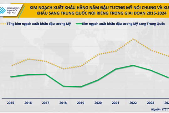 Khi dòng chảy đậu tương đổi hướng, cơ hội nào cho doanh nghiệp chăn nuôi Việt Nam?